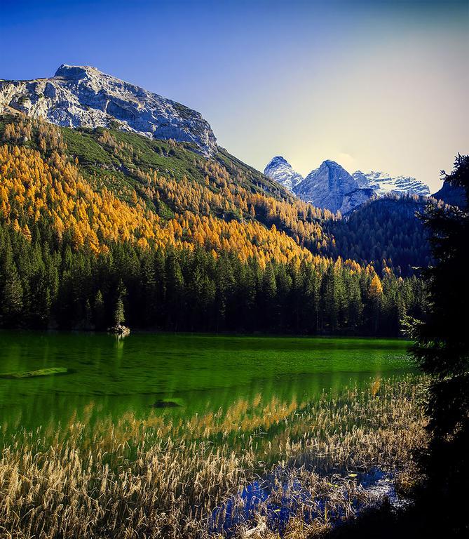 Вилла Dolomiti Di Brenta House 2 Мадонна-ди-Кампильо Экстерьер фото